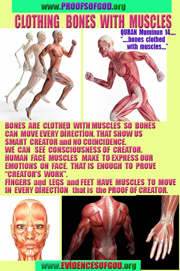 proofs of god, evidences of god, signs of god, god-proofs, proofs-god